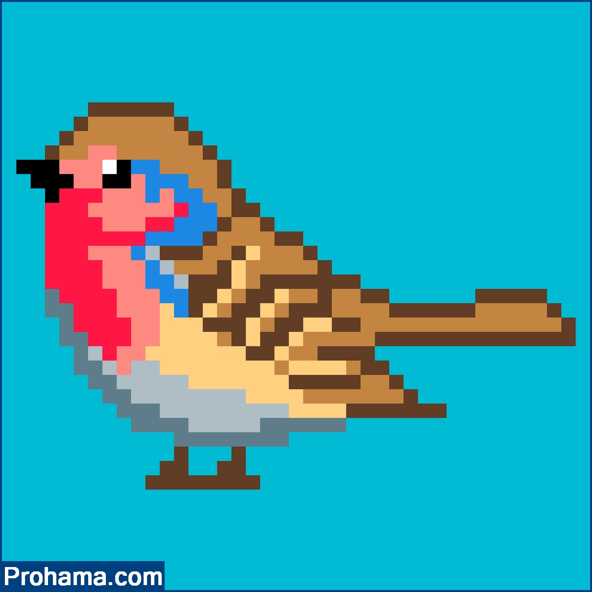 bird